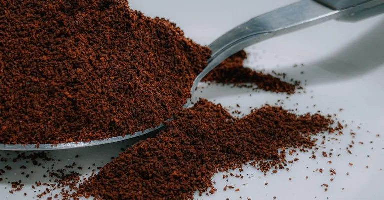 découvrez comment utiliser le marc de café en lombricompostage : quantités conseillées, avantages et précautions pour préserver vos vers.