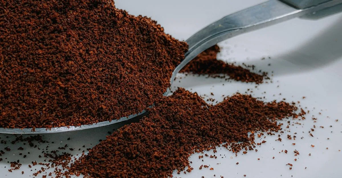découvrez comment utiliser le marc de café en lombricompostage : quantités conseillées, avantages et précautions pour préserver vos vers.