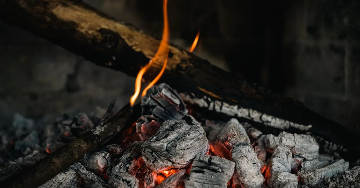 découvrez la température idéale pour le lombricompostage et comment protéger vos vers des fortes chaleurs et du froid.