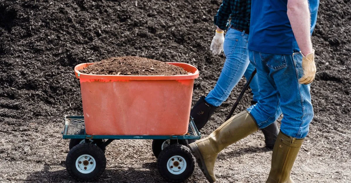 découvrez comment bien aérer votre lombricomposteur pour favoriser la santé des vers et obtenir un compost de qualité, sans mauvaises odeurs.
